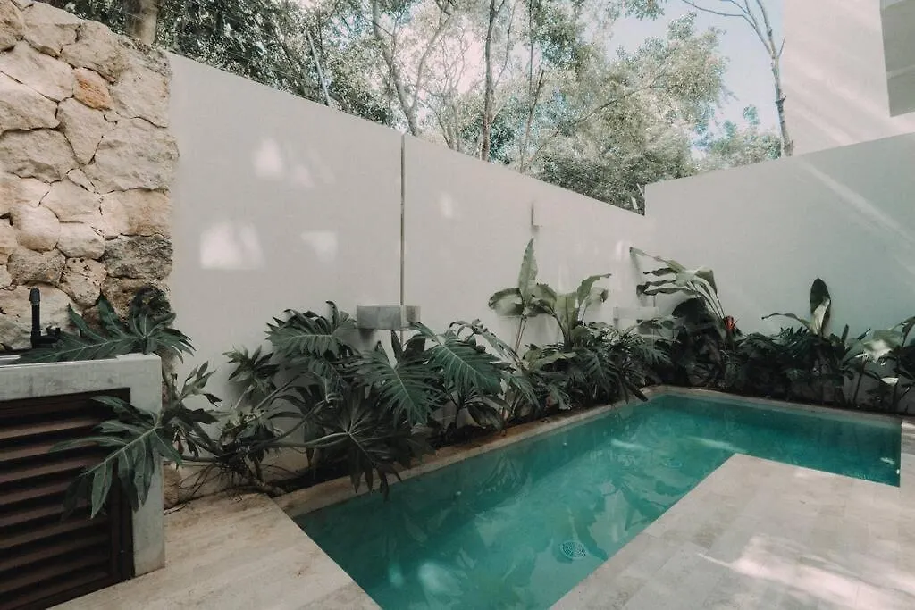 Torana A1 Cozy Design Apt W Pvt Pool And Patio Apartman Tulum